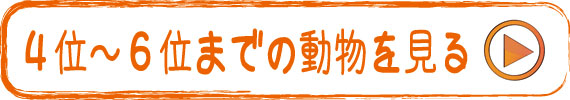 あなたの深層心理に眠る４位～６位までの動物占い　画像